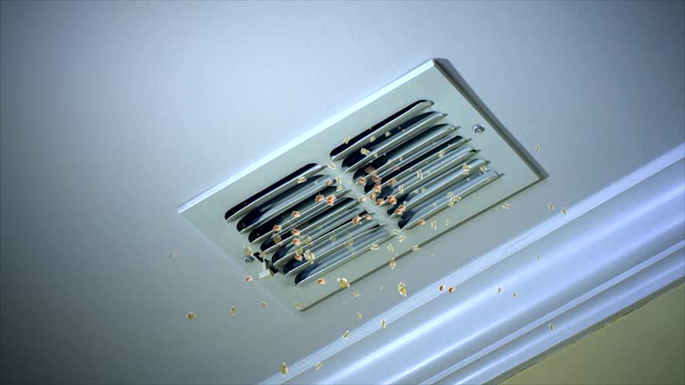 Best Ductwork Cleaning Services  in Firebaugh, CA